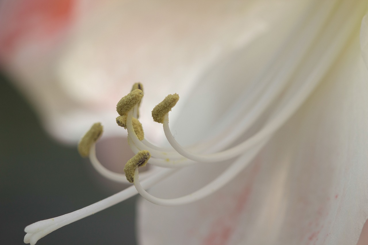 枫泾七路最新时刻表详解，掌握最新动态，出行无忧！