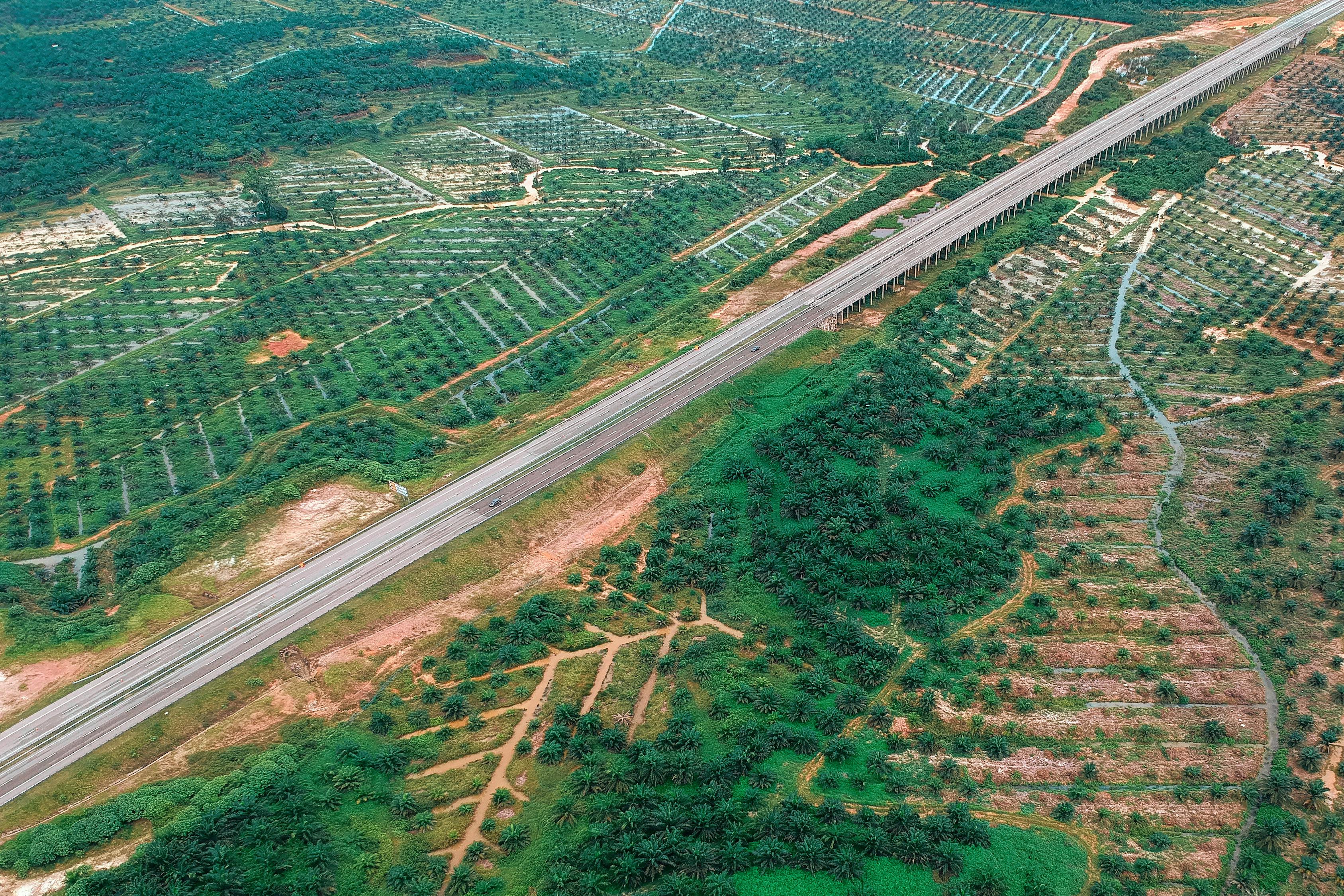 平赞高速公路最新进展报告更新，建设进度概览