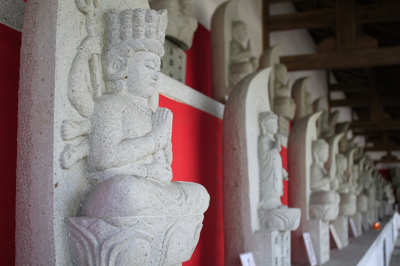 中国女排赛场风采揭秘，最新动态与未来展望